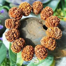 10 Mukhi (Nepali) Rudraksha Bracelet