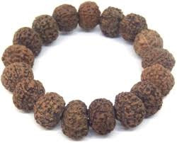 8 Mukhi (Nepali) Rudraksha Bracelet