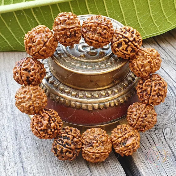 6 Mukhi (Nepali) Rudraksha Braclet