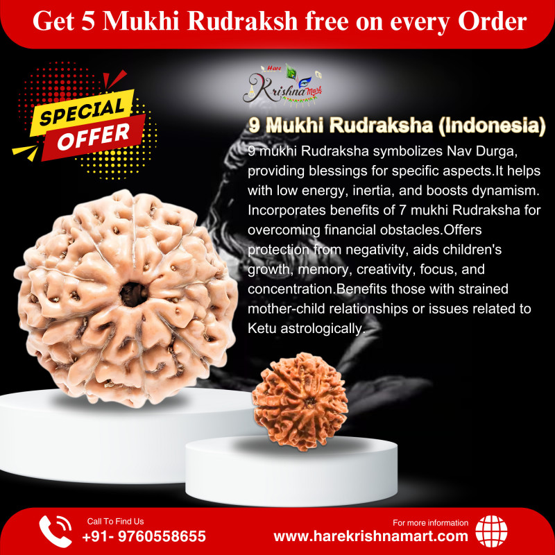 9 mukhi Rudraksha Indonesia