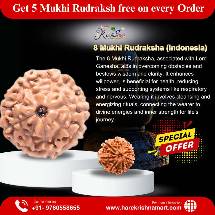 8 Mukhi Rudrakhsa indonesia