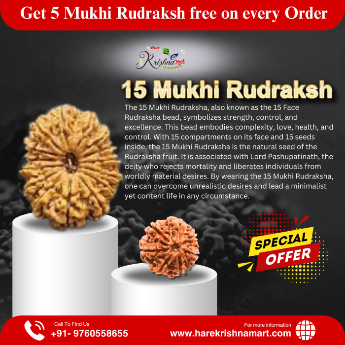 15 Mukhi Rudraksha( NEPAL)