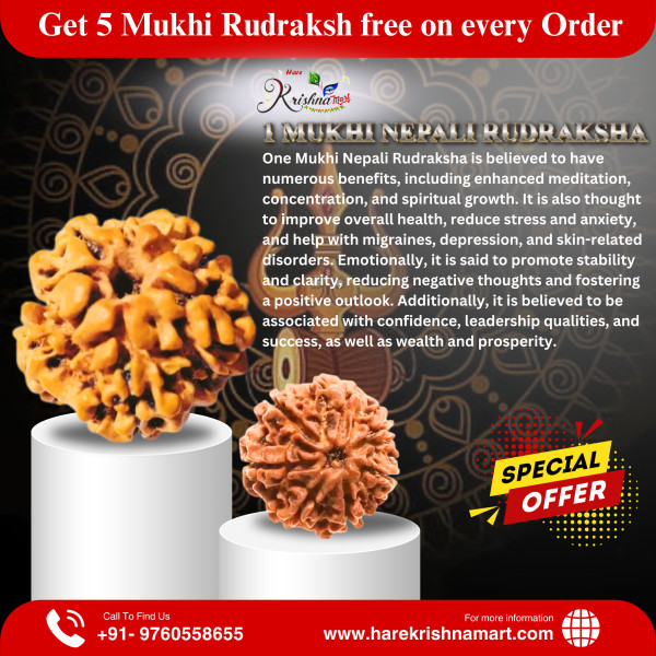 1 Mukhi NEPALI Rudraksha{zodiac sign:-Singh(leo)}