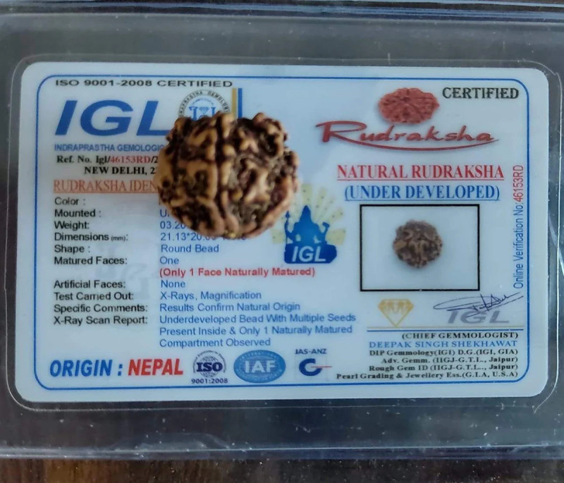 1 Mukhi NEPALI Rudraksha{zodiac sign:-Singh(leo)}