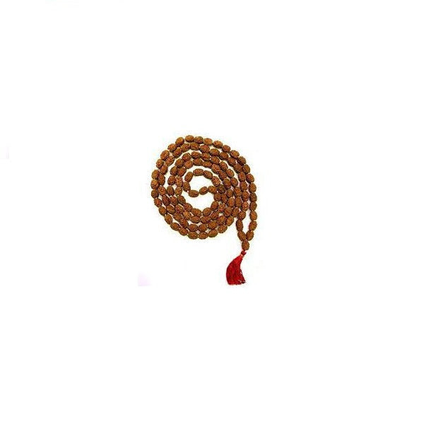 Buy Certified Original Rudraksha Mala 2 to 10 mukhi
