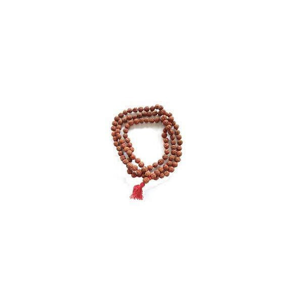 Buy Certified Original Rudraksha Mala 2 to 10 mukhi