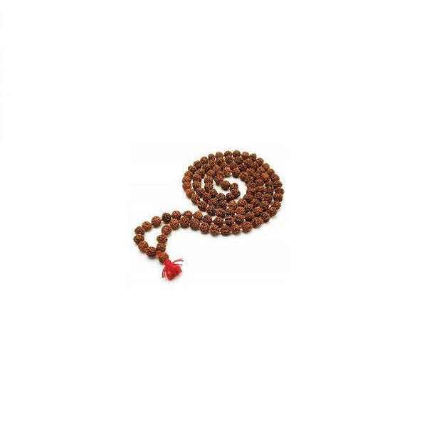 Buy Certified Original Rudraksha Mala 2 to 10 mukhi