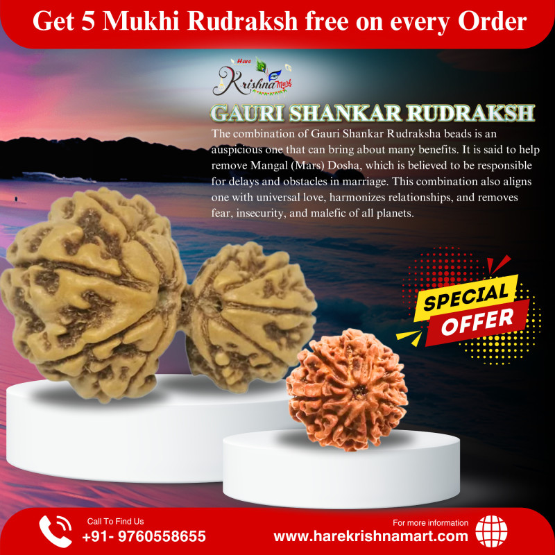 Gauri Shankar Rudraksha (Nepal)