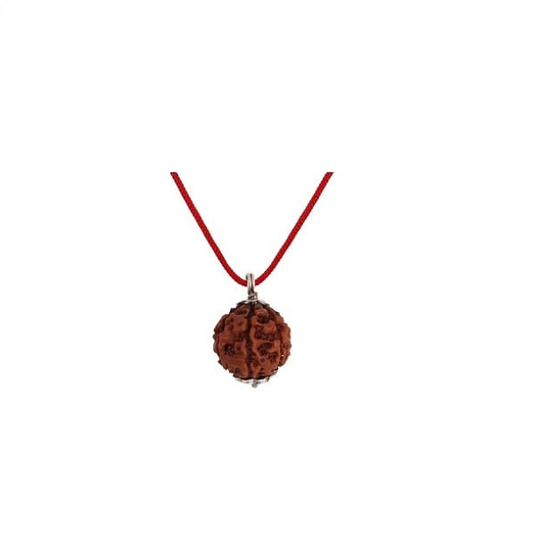 8 Mukhi Rudraksha Pendant (8 Mukhi Rudraksha Mala)