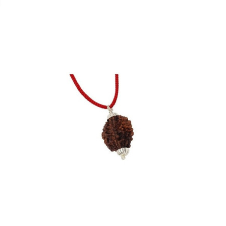 2 Mukhi Rudraksha Pendant