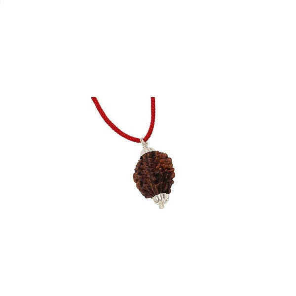 2 Mukhi Rudraksha Pendant