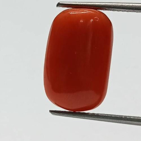Red Coral Gemstone (Red Coral Stone Price)