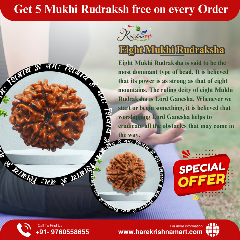 8 Mukhi Rudraksha Original Nepali (8 Mukhi Rudraksha)