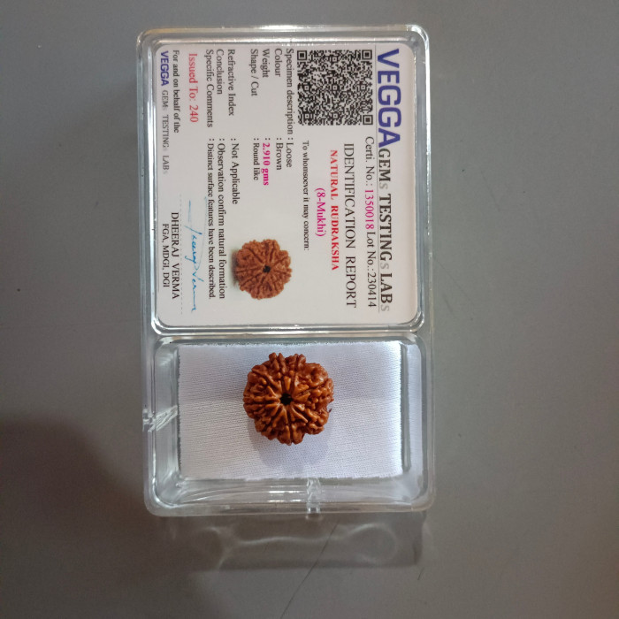 8 Mukhi Rudraksha Original Nepali (8 Mukhi Rudraksha)