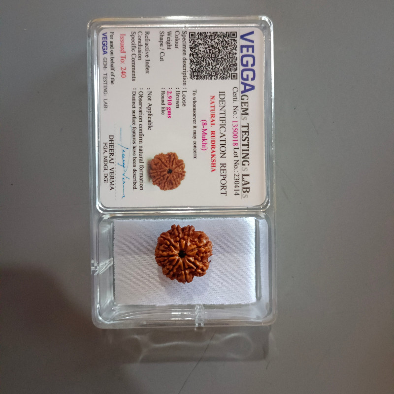 8 Mukhi Rudraksha Original Nepali (8 Mukhi Rudraksha)