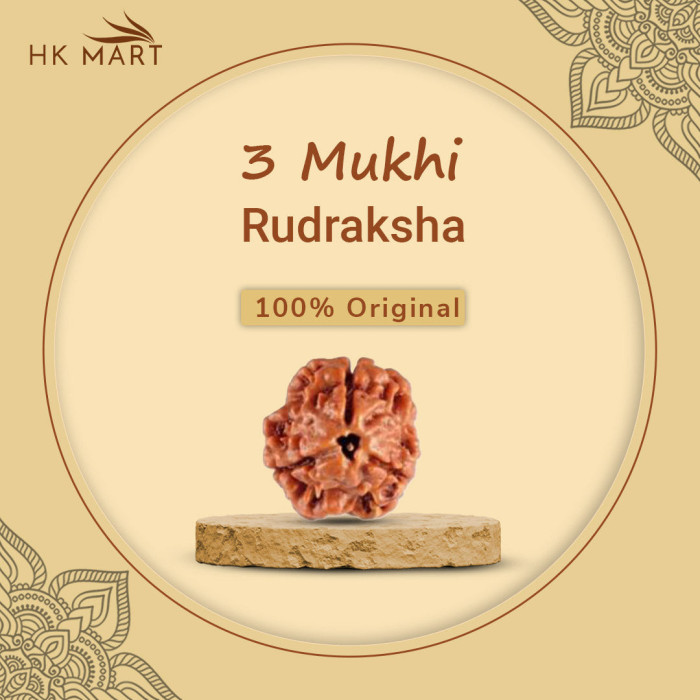 3 Mukhi Rudraksha