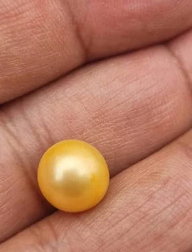 Natural Golden South Sea pearl
