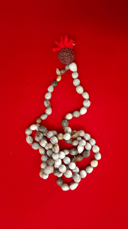 Combo of Energized Original Vaijayanti and Lotus Seeds Mala