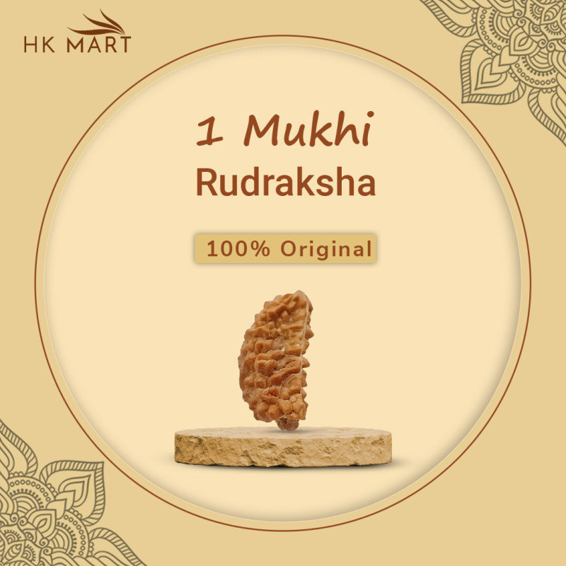 Buy Ek Mukhi Rudraksha Original