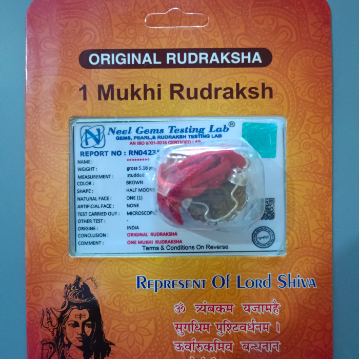 Buy Ek Mukhi Rudraksha Original