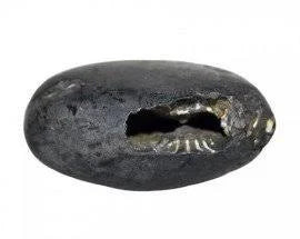 Lakshmi Narayan shaligram