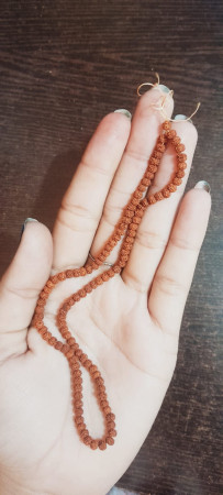 5 Mukhi Rudraksha Mala (0mm) size